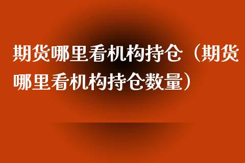 期货哪里看机构持仓（期货哪里看机构持仓数量）_https://www.zcsm.com.cn_期货交易_第1张