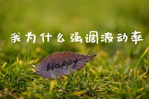 我为什么强调波动率_https://www.zcsm.com.cn_期货百科_第1张