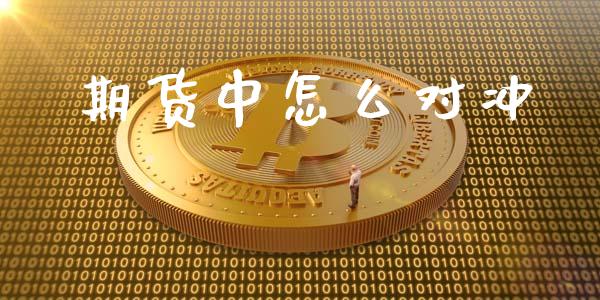期货中怎么对冲_https://www.zcsm.com.cn_期货喊单_第1张