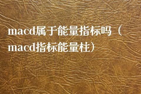 macd属于能量指标吗（macd指标能量柱）_https://www.zcsm.com.cn_期货培训_第1张
