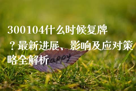 300104什么时候复牌？最新进展、影响及应对策略全解析_https://www.zcsm.com.cn_期货喊单_第1张