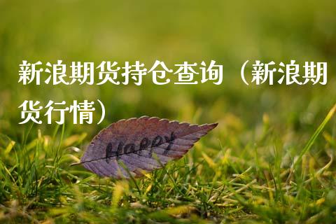 新浪期货持仓查询（新浪期货行情）_https://www.zcsm.com.cn_期货交易_第1张