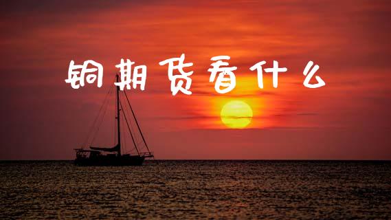 铜期货看什么_https://www.zcsm.com.cn_期货培训_第1张