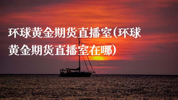 环球黄金期货直播室(环球黄金期货直播室在哪)_https://www.zcsm.com.cn_期货喊单_第1张