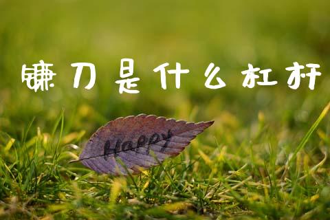 镰刀是什么杠杆_https://www.zcsm.com.cn_期货交易_第1张