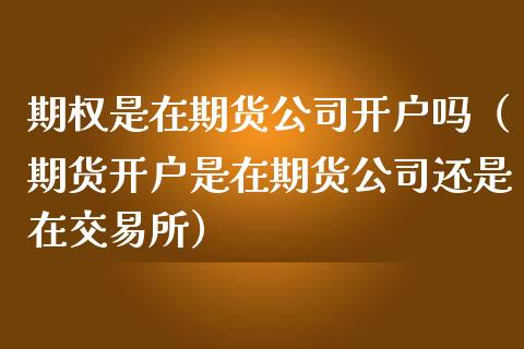 期权是在期货公司开户吗（期货开户是在期货公司还是在交易所）_https://www.zcsm.com.cn_期货培训_第1张