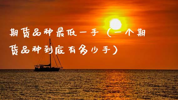 期货品种最低一手（一个期货品种到底有多少手）_https://www.zcsm.com.cn_期货喊单_第1张