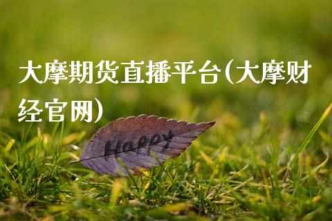 大摩期货直播平台(大摩财经官网)_https://www.zcsm.com.cn_原油期货_第1张