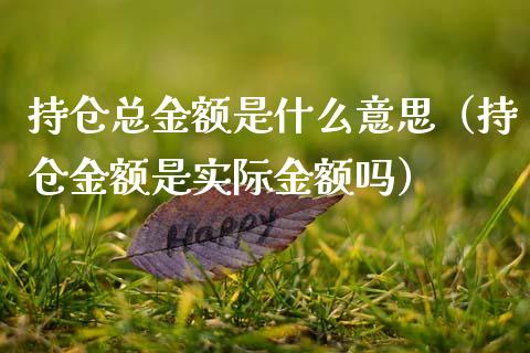 持仓总金额是什么意思（持仓金额是实际金额吗）_https://www.zcsm.com.cn_期货交易_第1张