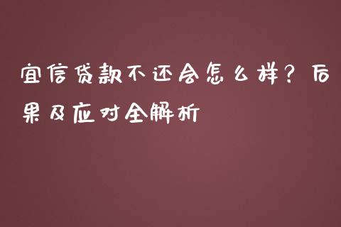 宜信贷款不还会怎么样？后果及应对全解析_https://www.zcsm.com.cn_期货喊单_第1张