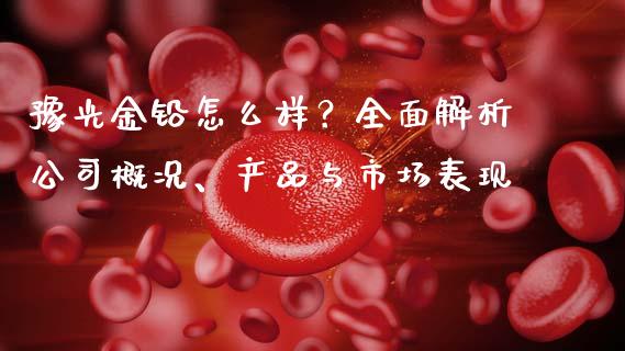 豫光金铅怎么样？全面解析公司概况、产品与市场表现_https://www.zcsm.com.cn_期货百科_第1张