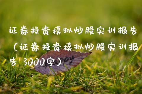 证券投资模拟炒股实训报告（证券投资模拟炒股实训报告 3000字）_https://www.zcsm.com.cn_期货交易_第1张