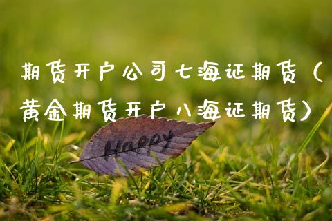 期货开户公司七海证期货（黄金期货开户八海证期货）_https://www.zcsm.com.cn_期货培训_第1张