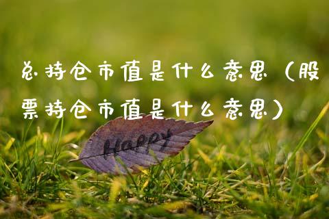 总持仓市值是什么意思（股票持仓市值是什么意思）_https://www.zcsm.com.cn_期货交易_第1张