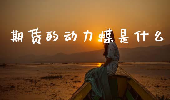 期货的动力煤是什么_期货喊单_第1张_期货百科_期货喊单_期货行情_期货交易_原油期货_期货培训 期货的动力煤是什么_https://www.zcsm.com.cn_期货喊单_第1张