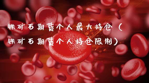 铁矿石期货个人最大持仓（铁矿石期货个人持仓限制）_https://www.zcsm.com.cn_期货交易_第1张