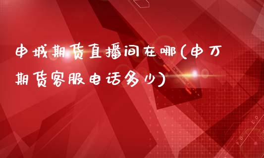 申城期货直播间在哪(申万期货客服电话多少)_https://www.zcsm.com.cn_期货行情_第1张