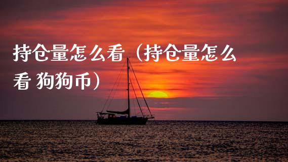持仓量怎么看（持仓量怎么看 狗狗币）_https://www.zcsm.com.cn_期货交易_第1张