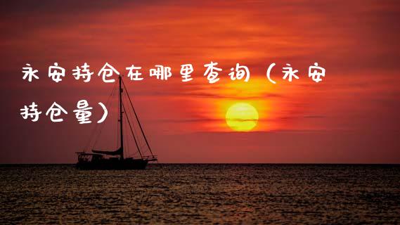 永安持仓在哪里查询（永安持仓量）_https://www.zcsm.com.cn_期货交易_第1张
