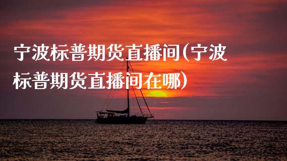 宁波标普期货直播间(宁波标普期货直播间在哪)_https://www.zcsm.com.cn_期货喊单_第1张