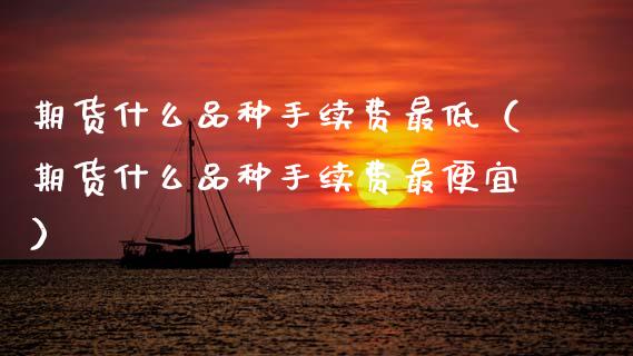 期货什么品种手续费最低（期货什么品种手续费最便宜）_https://www.zcsm.com.cn_期货喊单_第1张
