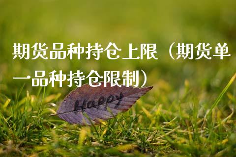 期货品种持仓上限（期货单一品种持仓限制）_https://www.zcsm.com.cn_期货交易_第1张
