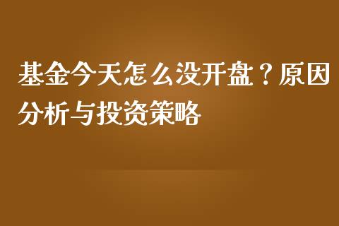 基金今天怎么没开盘？原因分析与投资策略_https://www.zcsm.com.cn_期货交易_第1张