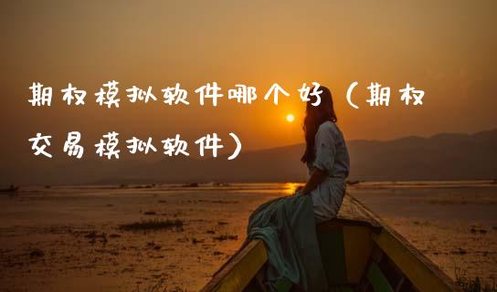 期权模拟软件哪个好（期权交易模拟软件）_https://www.zcsm.com.cn_原油期货_第1张