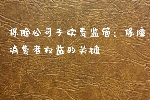 保险公司手续费监管：保障消费者权益的关键_https://www.zcsm.com.cn_期货喊单_第1张