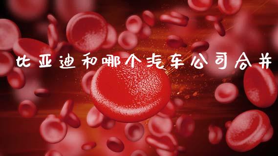 比亚迪和哪个汽车公司合并_期货交易_第1张_期货百科_期货喊单_期货行情_期货交易_原油期货_期货培训 比亚迪和哪个汽车公司合并_https://www.zcsm.com.cn_期货交易_第1张