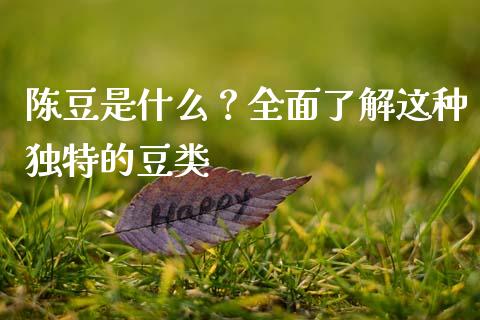 陈豆是什么？全面了解这种独特的豆类_https://www.zcsm.com.cn_期货培训_第1张