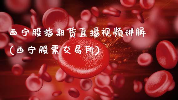 西宁股指期货直播视频讲解(西宁股票交易所)_https://www.zcsm.com.cn_期货培训_第1张