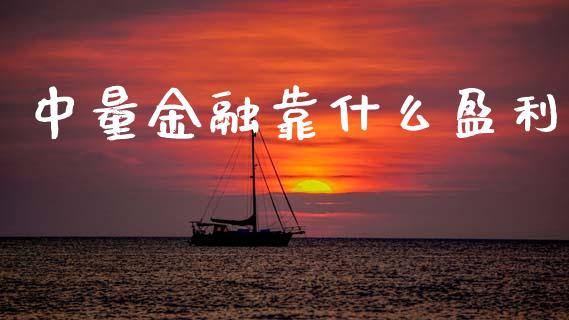 中量金融靠什么盈利_https://www.zcsm.com.cn_期货交易_第1张
