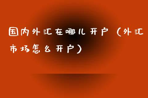 国内外汇在哪儿开户（外汇市场怎么开户）_https://www.zcsm.com.cn_期货培训_第1张