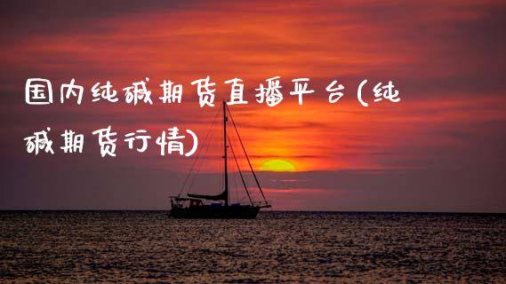 国内纯碱期货直播平台(纯碱期货行情)_https://www.zcsm.com.cn_期货行情_第1张
