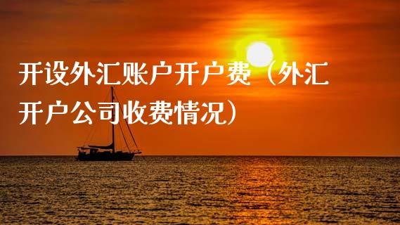 开设外汇账户开户费（外汇开户公司收费情况）_https://www.zcsm.com.cn_期货培训_第1张