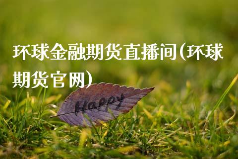环球金融期货直播间(环球期货官网)_https://www.zcsm.com.cn_期货百科_第1张