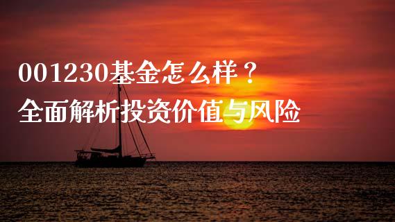 001230基金怎么样？全面解析投资价值与风险_https://www.zcsm.com.cn_期货培训_第1张