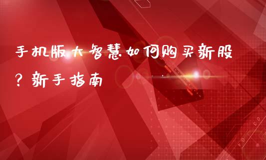 手机版大智慧如何购买新股？新手指南_https://www.zcsm.com.cn_原油期货_第1张