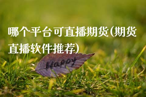 哪个平台可直播期货(期货直播软件推荐)_https://www.zcsm.com.cn_期货行情_第1张
