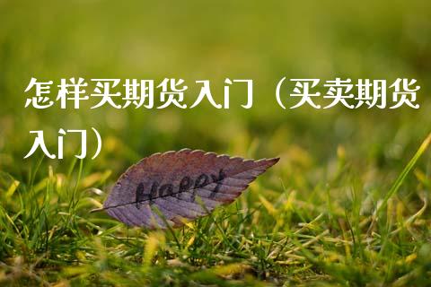 怎样买期货入门（买卖期货入门）_https://www.zcsm.com.cn_期货百科_第1张