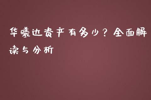 华曦达资产有多少？全面解读与分析_https://www.zcsm.com.cn_期货培训_第1张