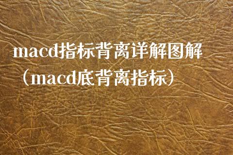 macd指标背离详解图解（macd底背离指标）_https://www.zcsm.com.cn_期货培训_第1张