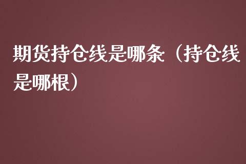 期货持仓线是哪条（持仓线是哪根）_https://www.zcsm.com.cn_期货交易_第1张
