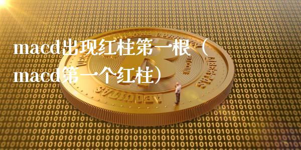 macd出现红柱第一根（macd第一个红柱）_https://www.zcsm.com.cn_期货培训_第1张