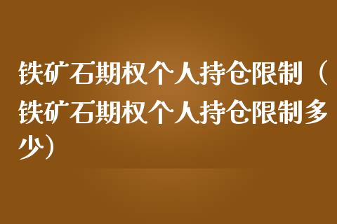 铁矿石期权个人持仓限制（铁矿石期权个人持仓限制多少）_https://www.zcsm.com.cn_期货交易_第1张
