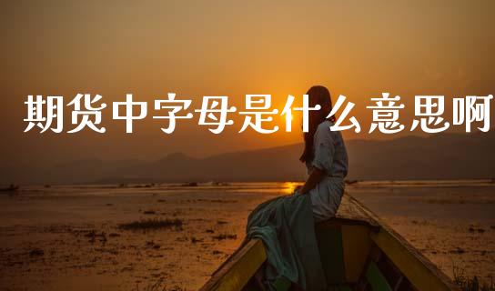 期货中字母是什么意思啊_期货喊单_第1张_期货百科_期货喊单_期货行情_期货交易_原油期货_期货培训 期货中字母是什么意思啊_https://www.zcsm.com.cn_期货喊单_第1张