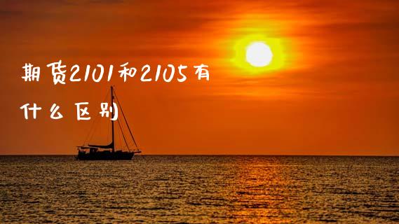 期货2101和2105有什么区别_https://www.zcsm.com.cn_期货百科_第1张