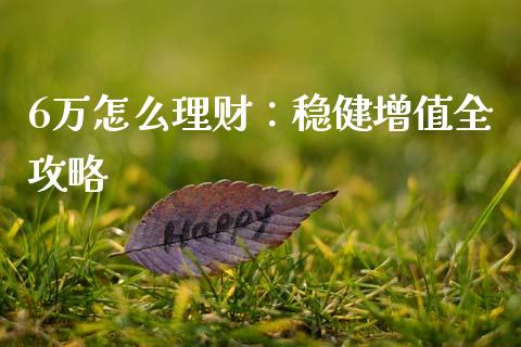 6万怎么理财：稳健增值全攻略_https://www.zcsm.com.cn_期货喊单_第1张