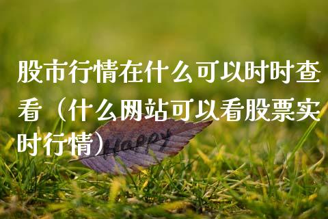 股市行情在什么可以时时查看（什么网站可以看股票实时行情）_https://www.zcsm.com.cn_期货行情_第1张
